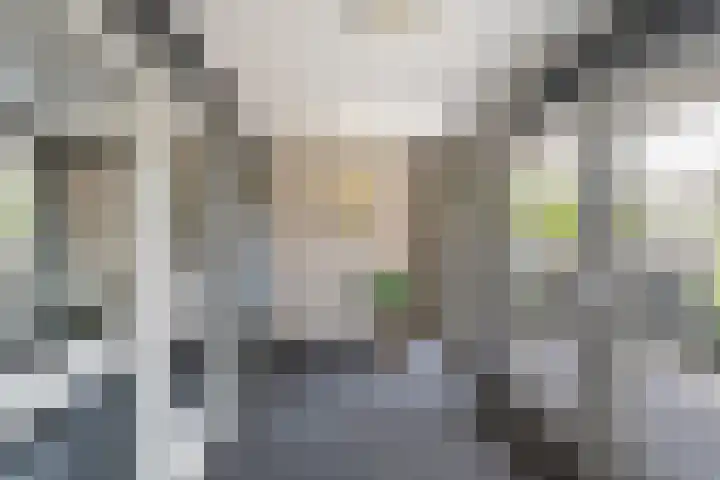 Kroon 26 Rhoon thumbnail 9