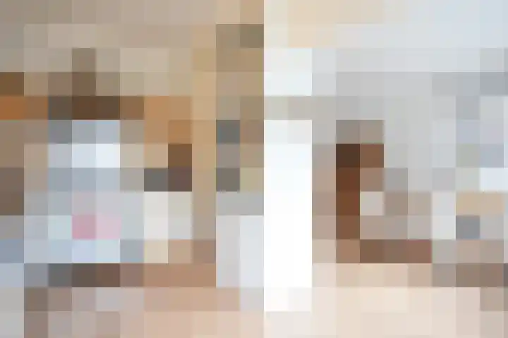Kroonbeek 10 Geleen thumbnail 10