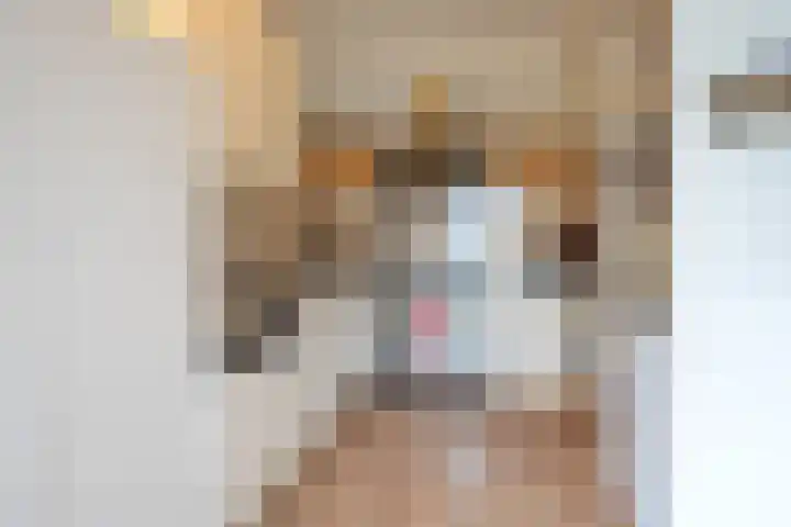 Kroonbeek 10 Geleen thumbnail 11