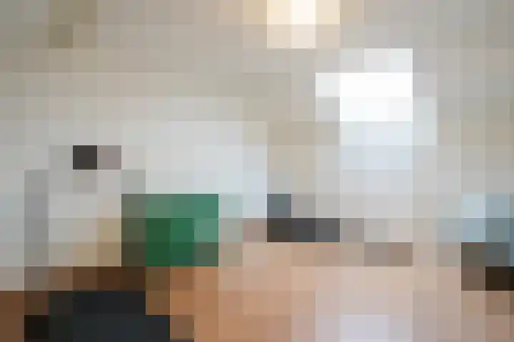 Kroonbeek 10 Geleen thumbnail 22