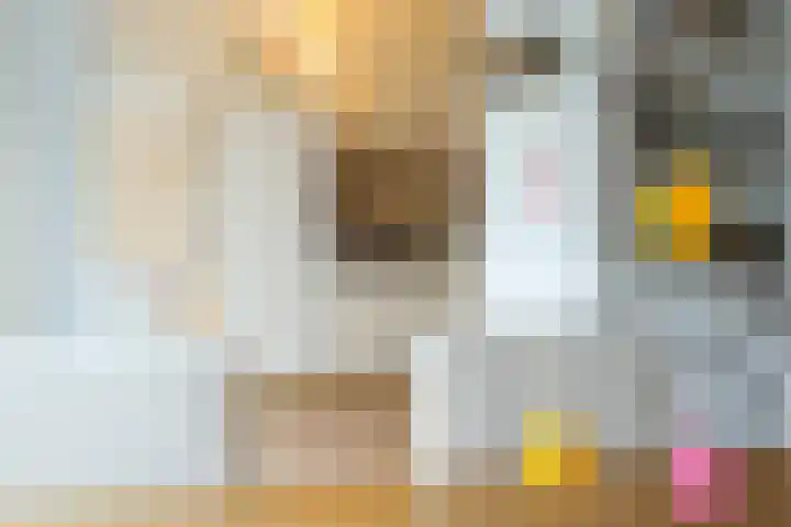 Kroonbeek 10 Geleen thumbnail 8