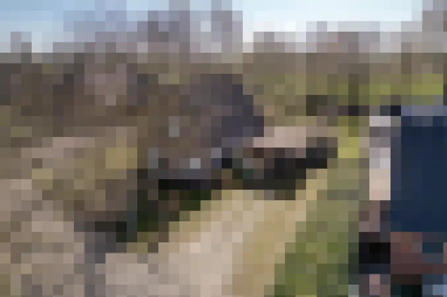 Kroonborg 7 Drieborg foto 3