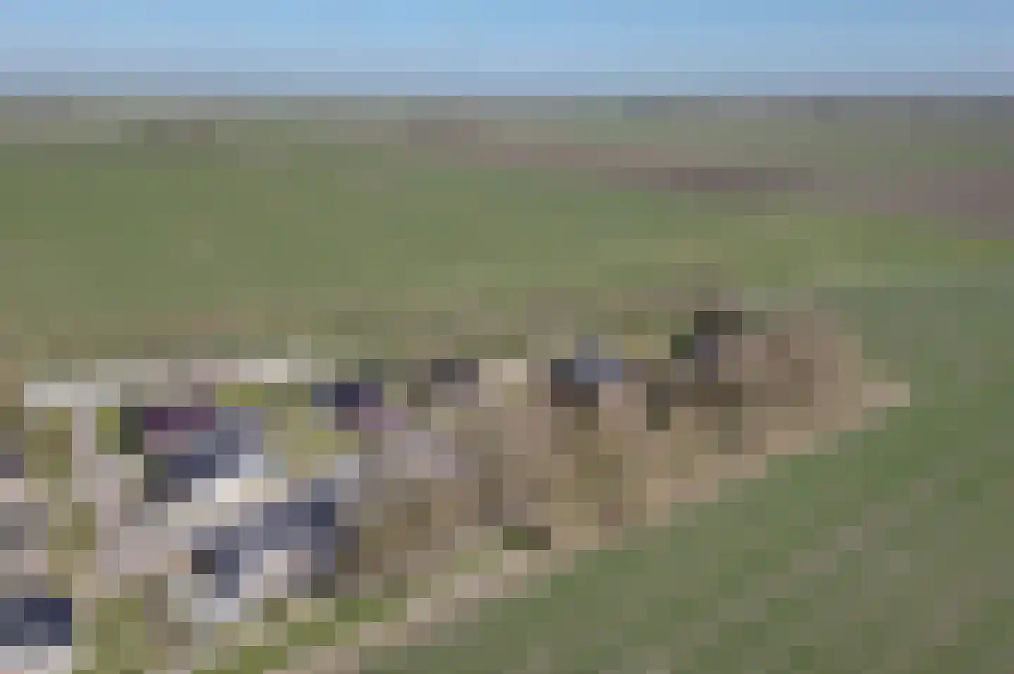 Kroonborg 7 Drieborg thumbnail 4