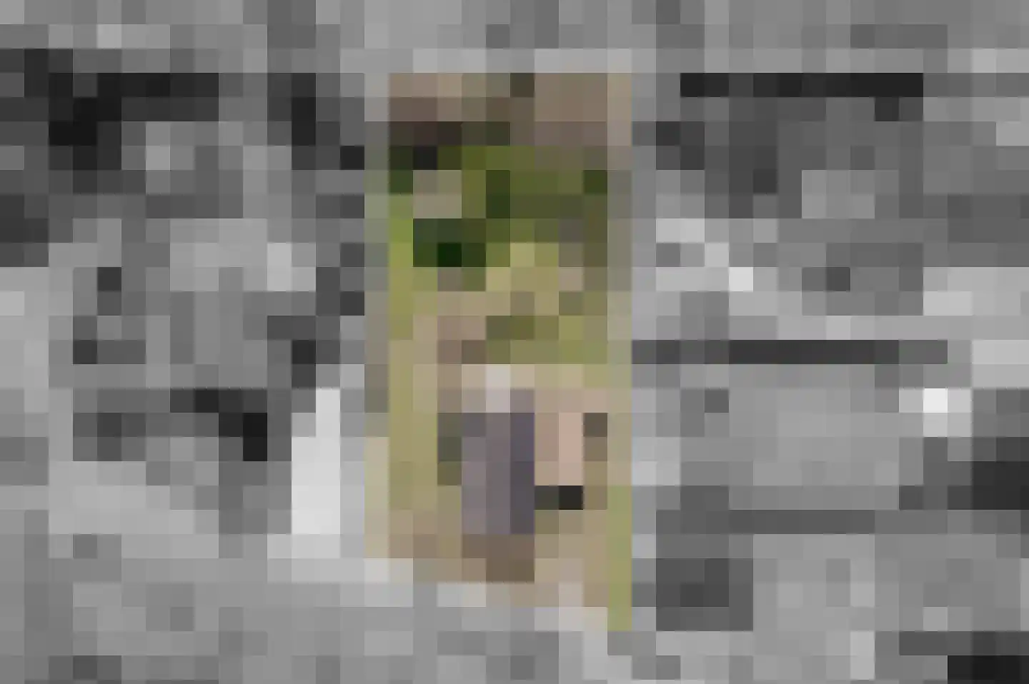 Kroonborg 7 Drieborg thumbnail 5