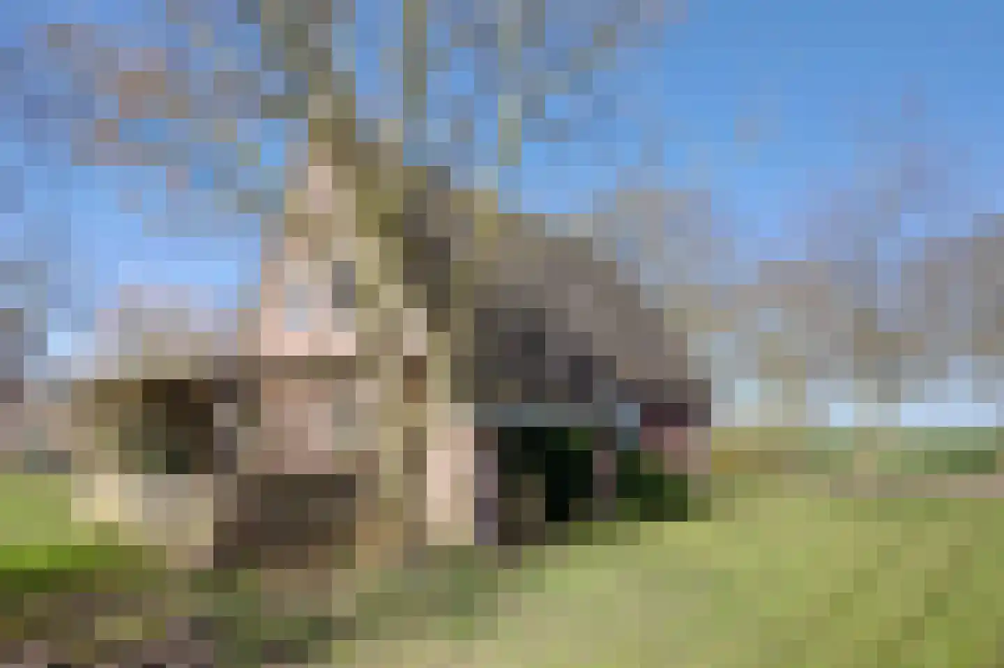 Kroonborg 7 Drieborg thumbnail 7
