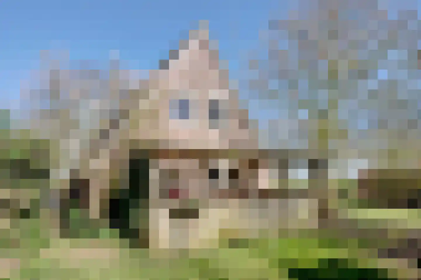 Kroonborg 7 Drieborg thumbnail 8