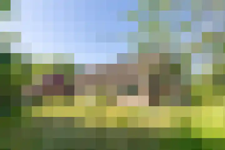 Kroondijk 1 Aalten thumbnail 12
