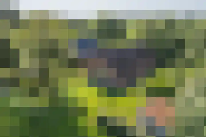 Kroondijk 1 Aalten thumbnail 14