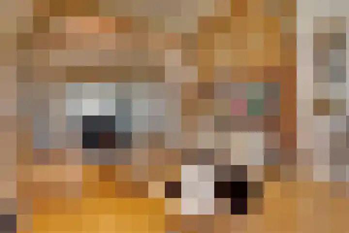 Kroondijk 1 Aalten thumbnail 17