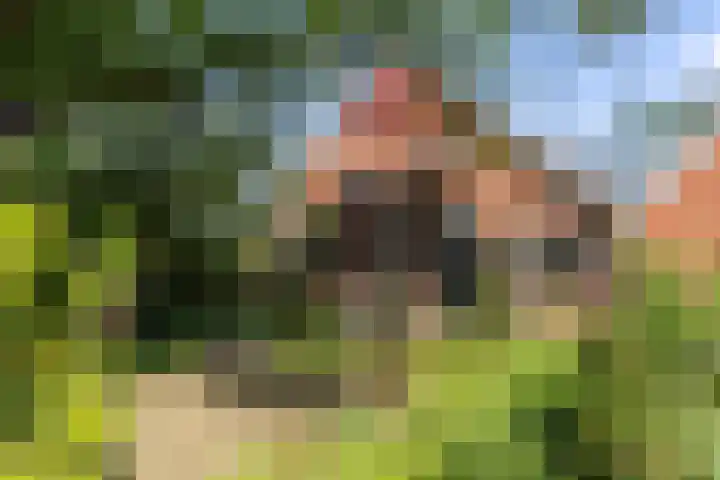 Kroondijk 1 Aalten thumbnail 4