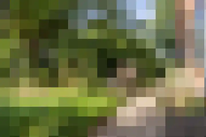 Kroondijk 1 Aalten thumbnail 60