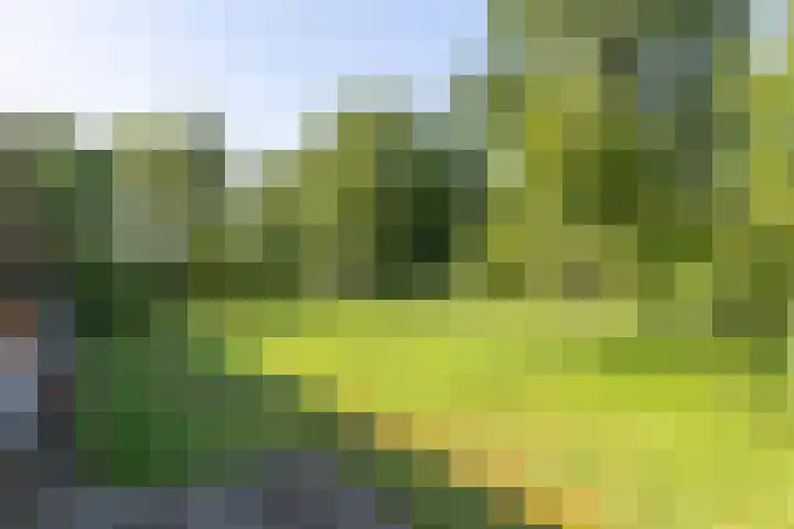 Kroondijk 1 Aalten thumbnail 63