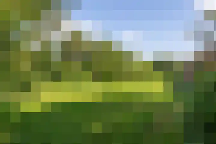 Kroondijk 1 Aalten thumbnail 65