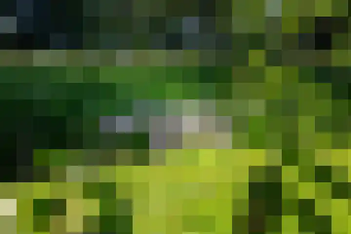Kroondijk 1 Aalten thumbnail 66