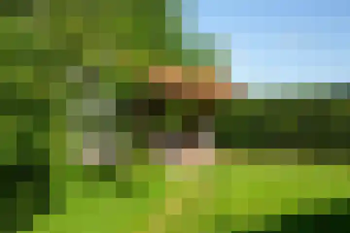 Kroondijk 1 Aalten thumbnail 68