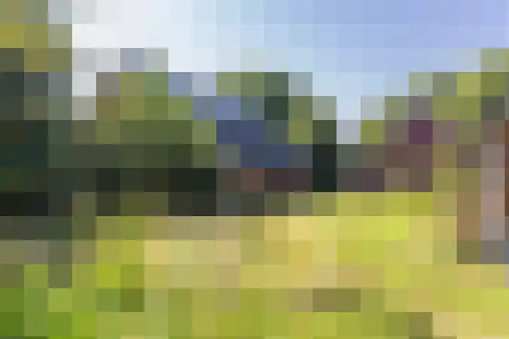 Kroondijk 1 Aalten thumbnail 69