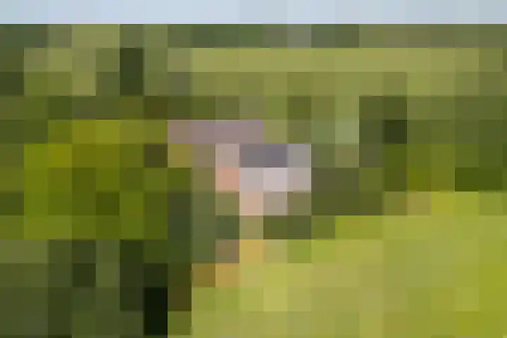 Kroondijk 1 Aalten thumbnail 71