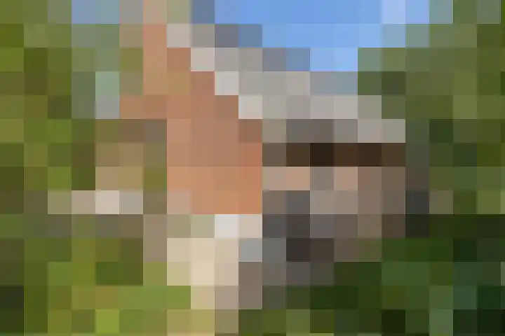 Kroondijk 1 Aalten thumbnail 72