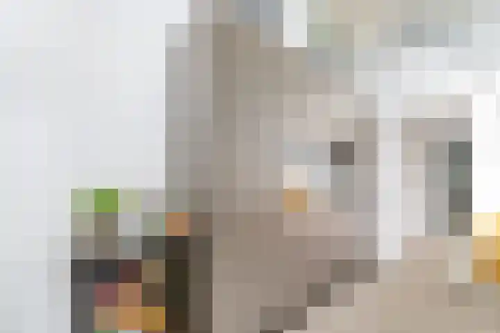 Krooneend 15 Leusden thumbnail 14