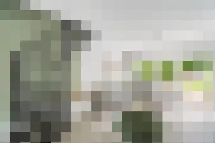 Krooneend 15 Leusden thumbnail 19