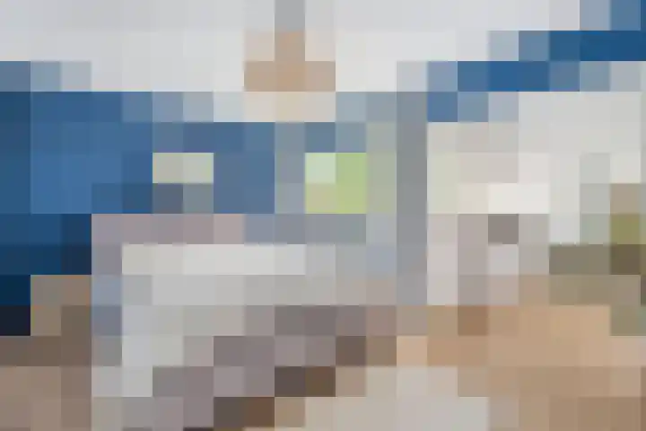 Krooneend 15 Leusden thumbnail 20