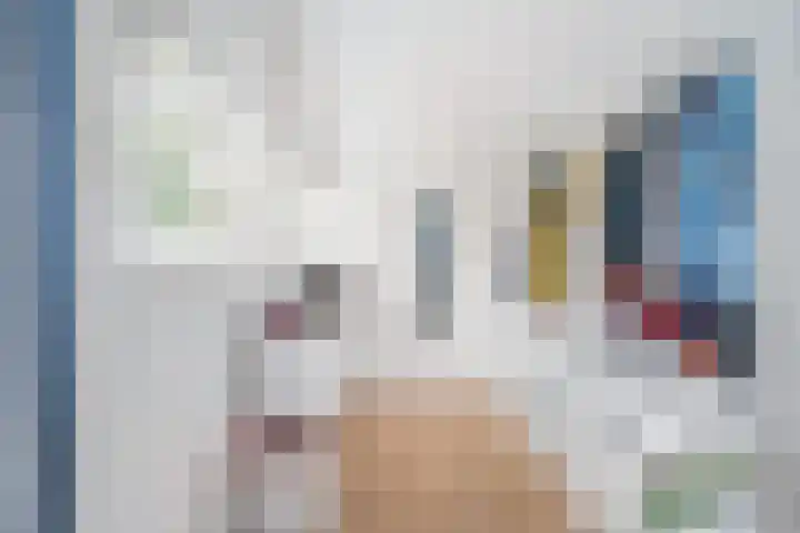 Krooneend 15 Leusden thumbnail 21