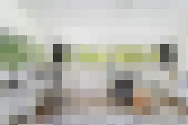 Krooneend 15 Leusden thumbnail 32