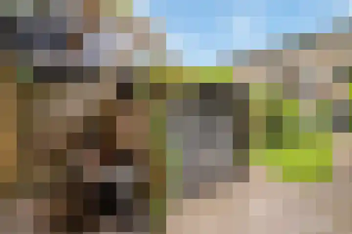 Krooneend 15 Leusden thumbnail 36