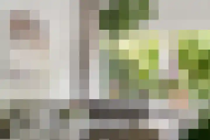 Krooneend 15 Leusden thumbnail 4