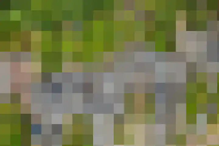 Krooneend 15 Leusden thumbnail 41