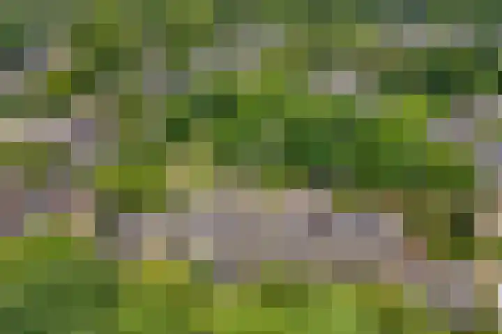Krooneend 15 Leusden thumbnail 42