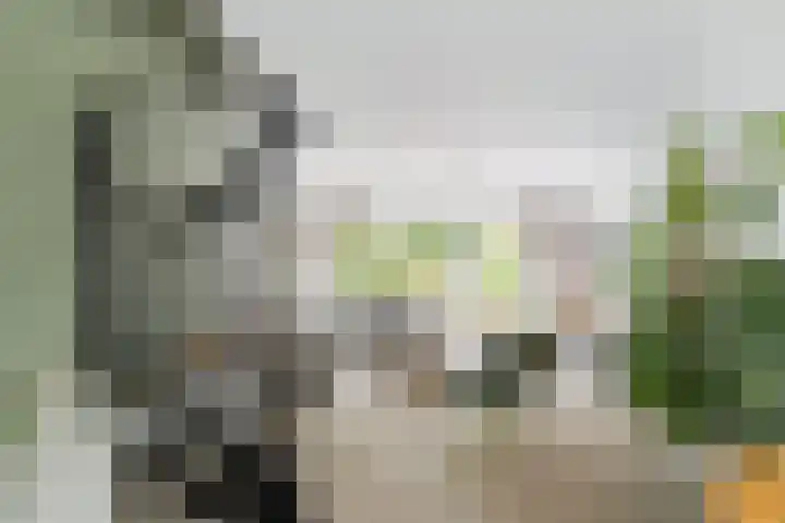 Krooneend 15 Leusden thumbnail 5