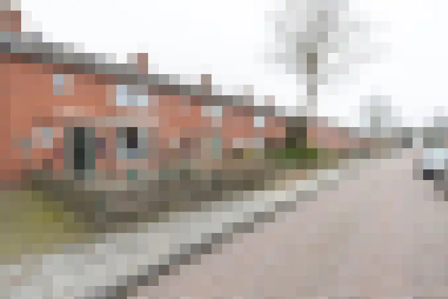 Krooneend 30 Culemborg thumbnail 18
