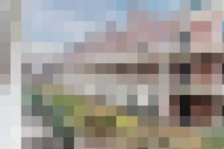 Krooneend 30 Culemborg thumbnail 20