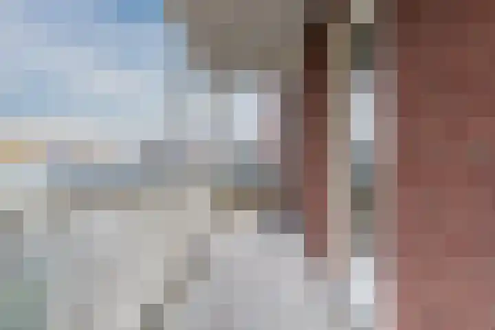 Krooneend 30 Culemborg thumbnail 6