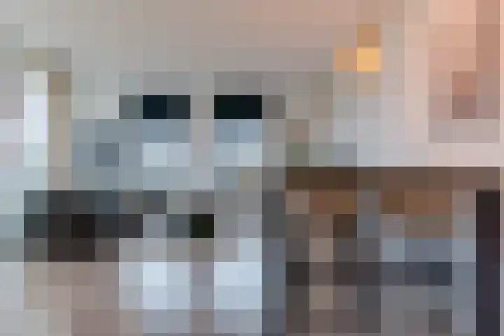Krooneend 30 Culemborg thumbnail 9