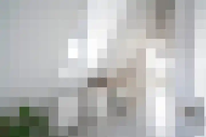 Krooneend 51 Culemborg thumbnail 16