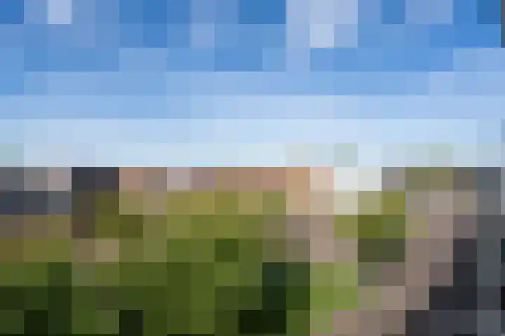 Krooneend 51 Culemborg thumbnail 26