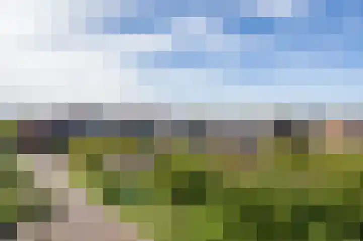 Krooneend 51 Culemborg thumbnail 27
