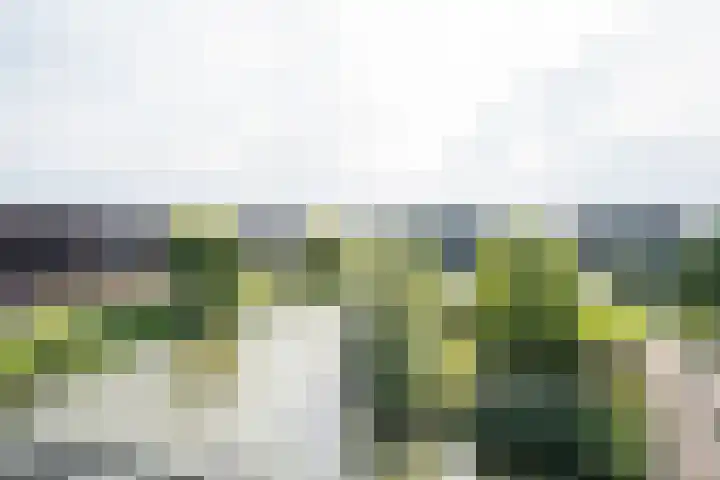 Krooneend 51 Culemborg thumbnail 28
