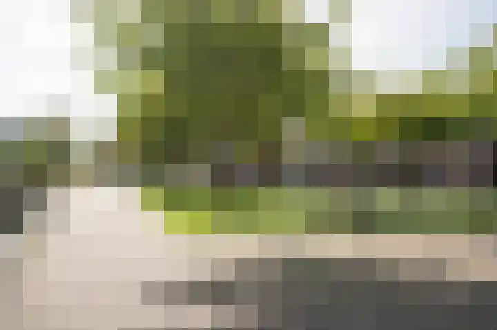 Krooneend 51 Culemborg thumbnail 31