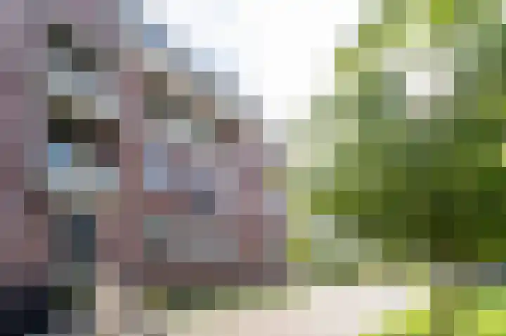 Krooneend 51 Culemborg thumbnail 33