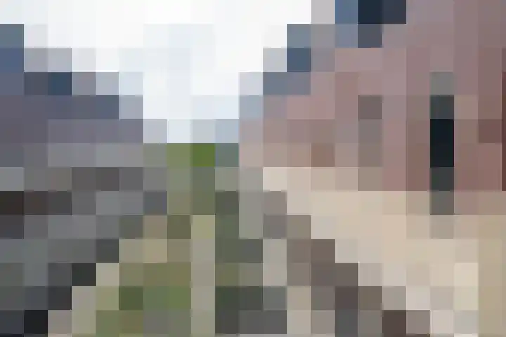 Krooneend 51 Culemborg thumbnail 7