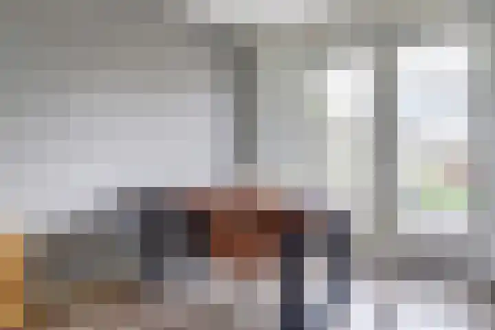 Krooneend 6 Rilland thumbnail 13
