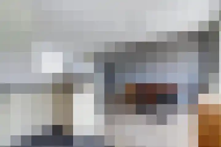 Krooneend 6 Rilland thumbnail 14