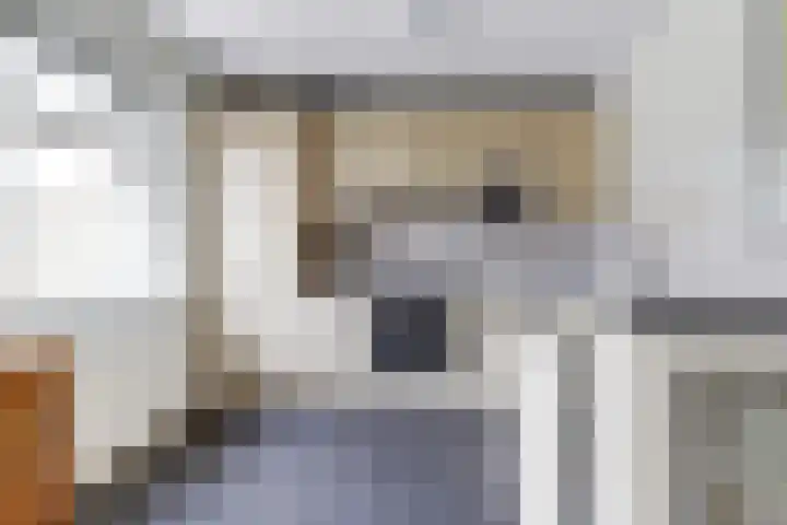 Krooneend 6 Rilland thumbnail 16