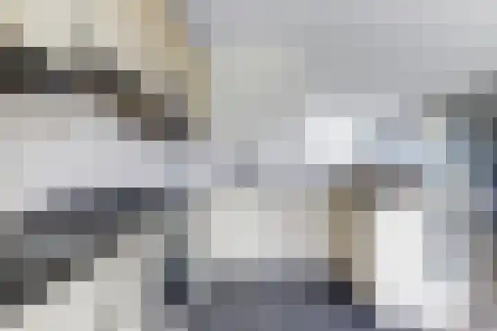 Krooneend 6 Rilland thumbnail 17