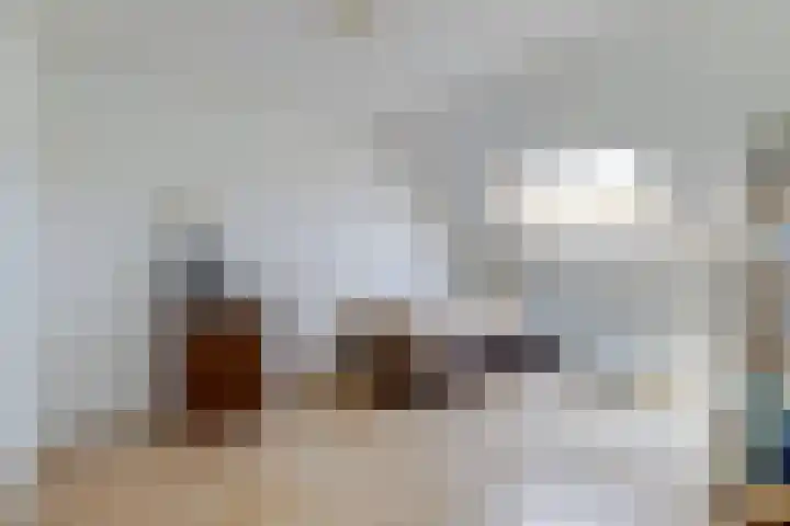 Krooneend 6 Rilland thumbnail 22