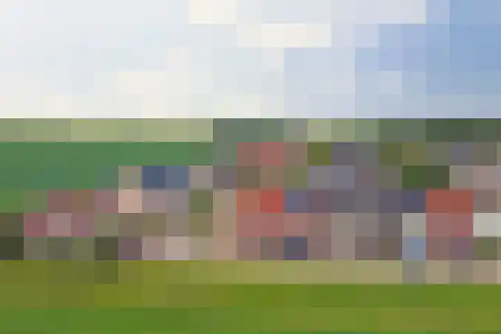 Krooneend 6 Rilland thumbnail 31