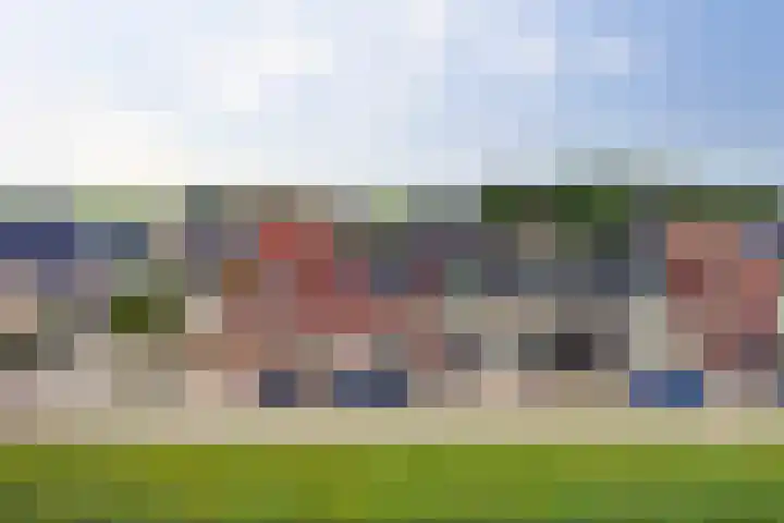Krooneend 6 Rilland thumbnail 32